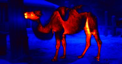 camel-infrared drone